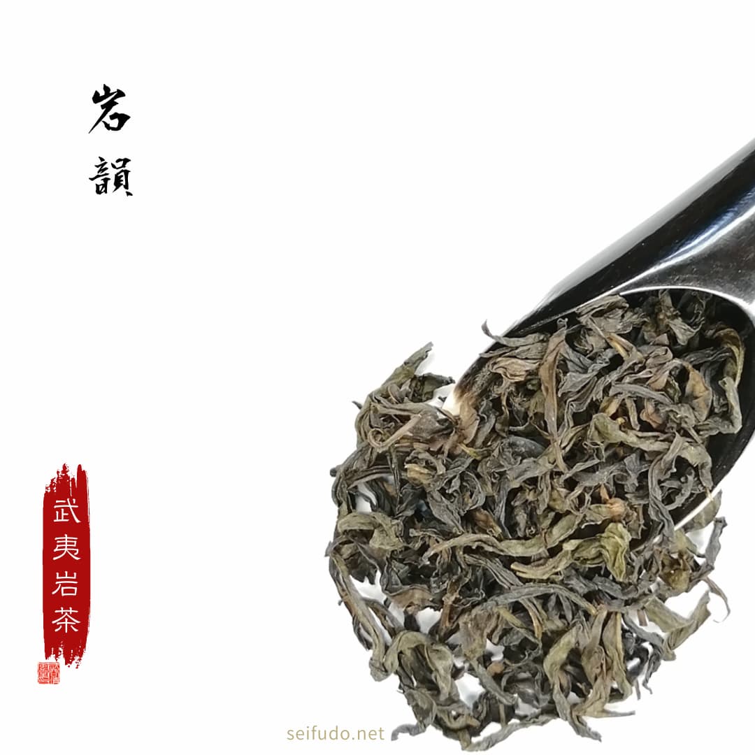 【大陸青茶】武夷岩茶