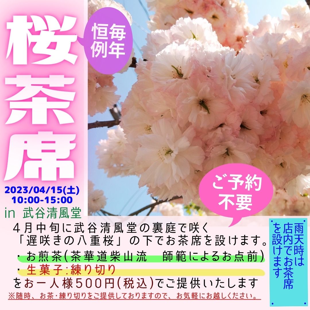 【桜茶席】4/15(土)桜茶席(お煎茶・練り切り)開催