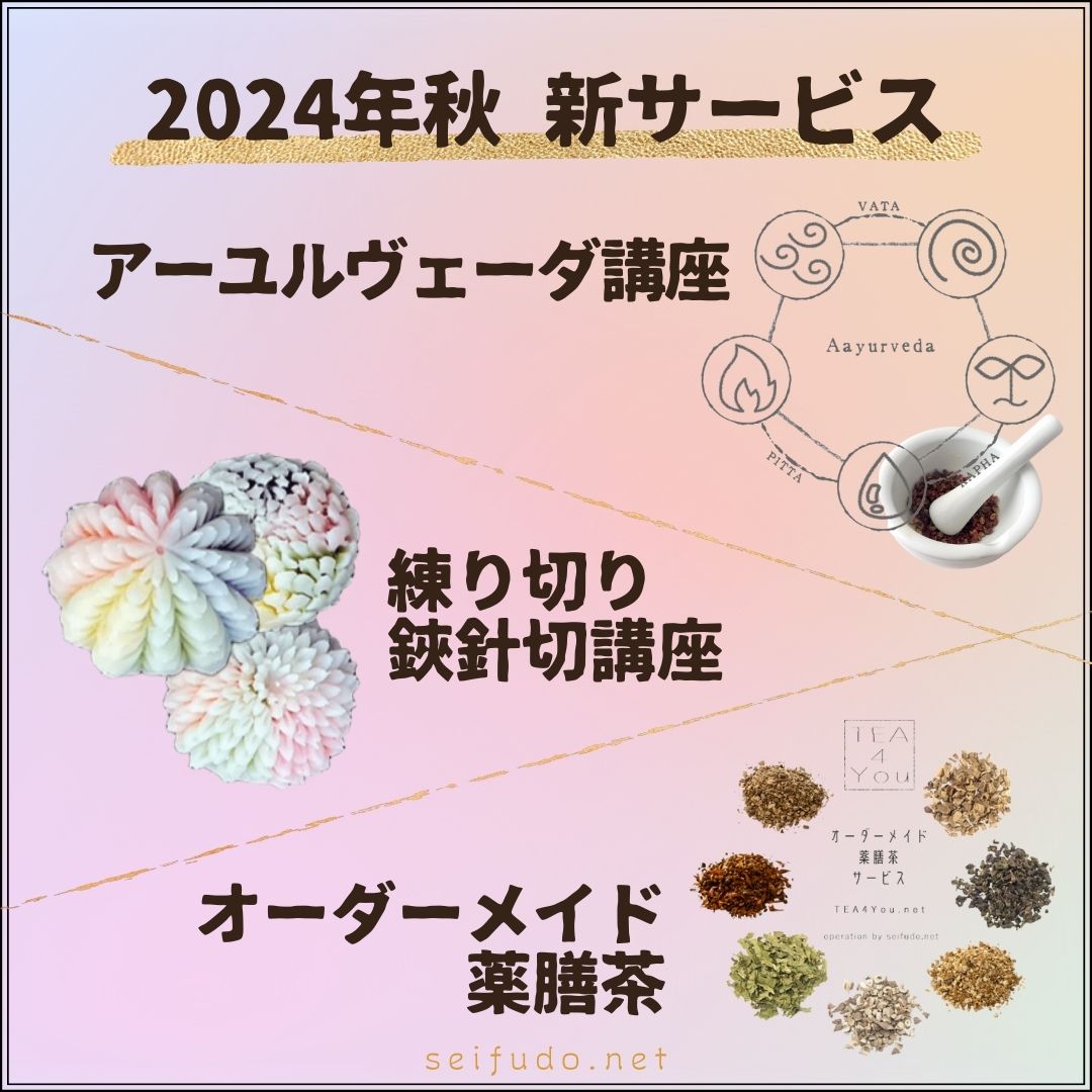 【2024年秋】新サービス提供開始