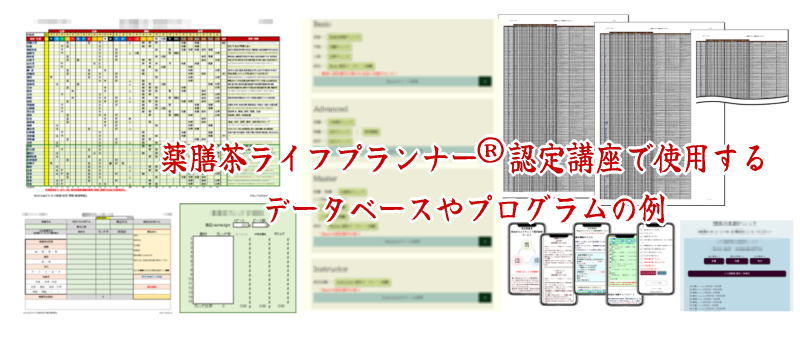 薬膳茶ライフプランナー®認定講座で使用するデータベースやプログラム各種
